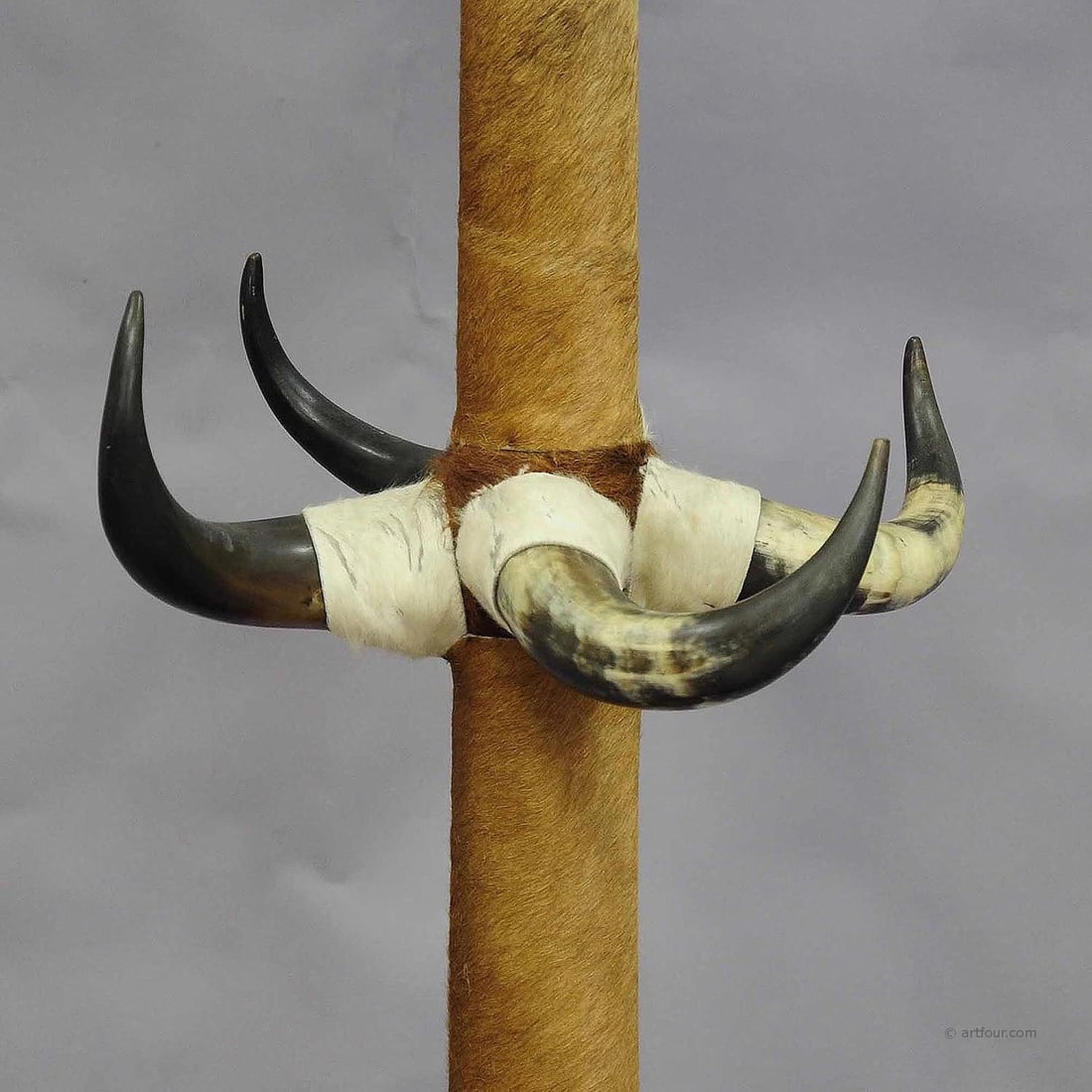 Antique Bull Horn Hall Stand with Cow Fur ca.1870 - 3