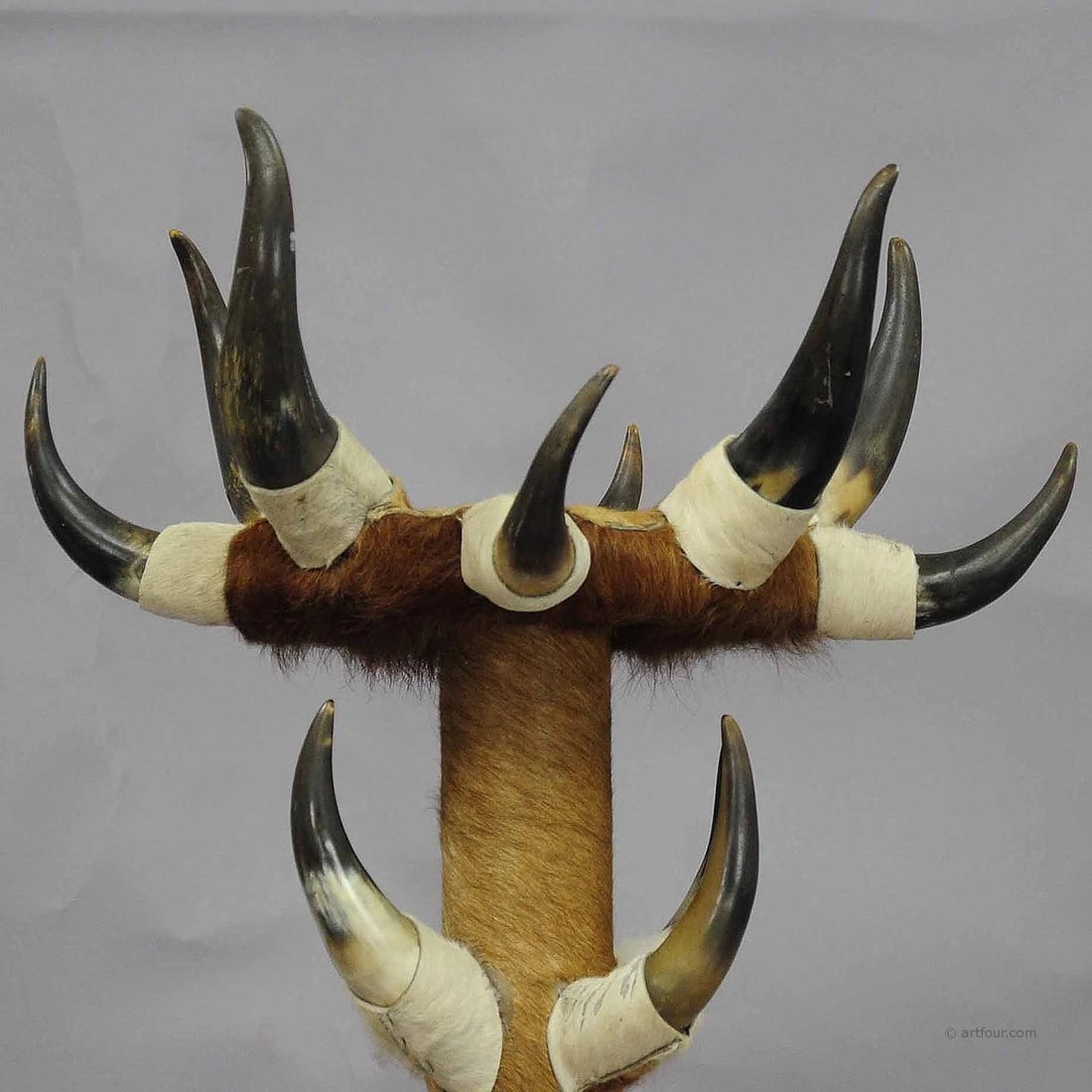 Antique Bull Horn Hall Stand with Cow Fur ca.1870 - 4