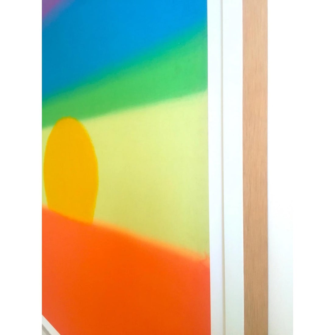 ANDY WARHOL FOUNDATION LITHOGRAPH PRINT FRAMED POP ART POSTER " SUNSET " 1972 - 10