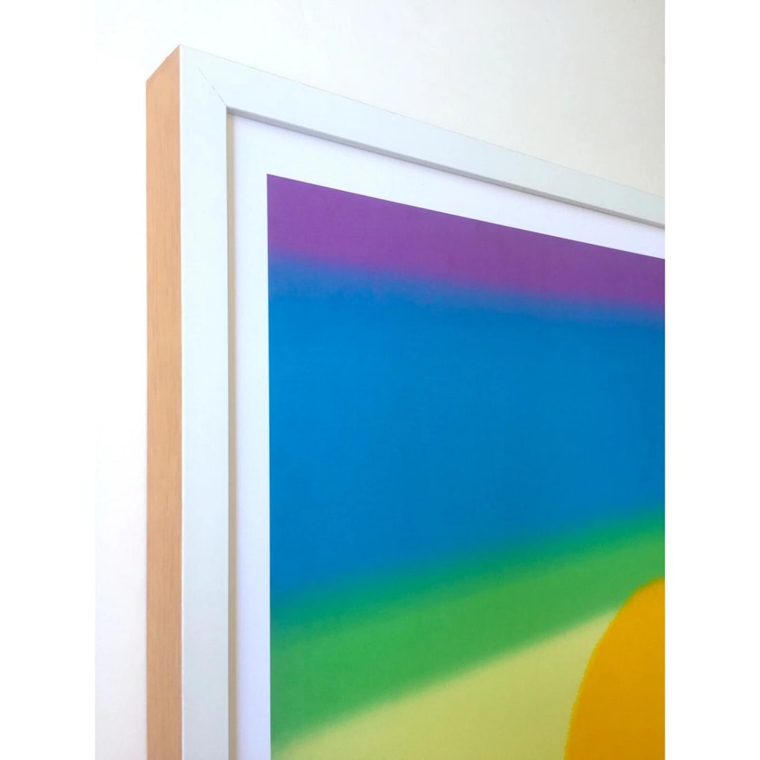 ANDY WARHOL FOUNDATION LITHOGRAPH PRINT FRAMED POP ART POSTER " SUNSET " 1972 - 4