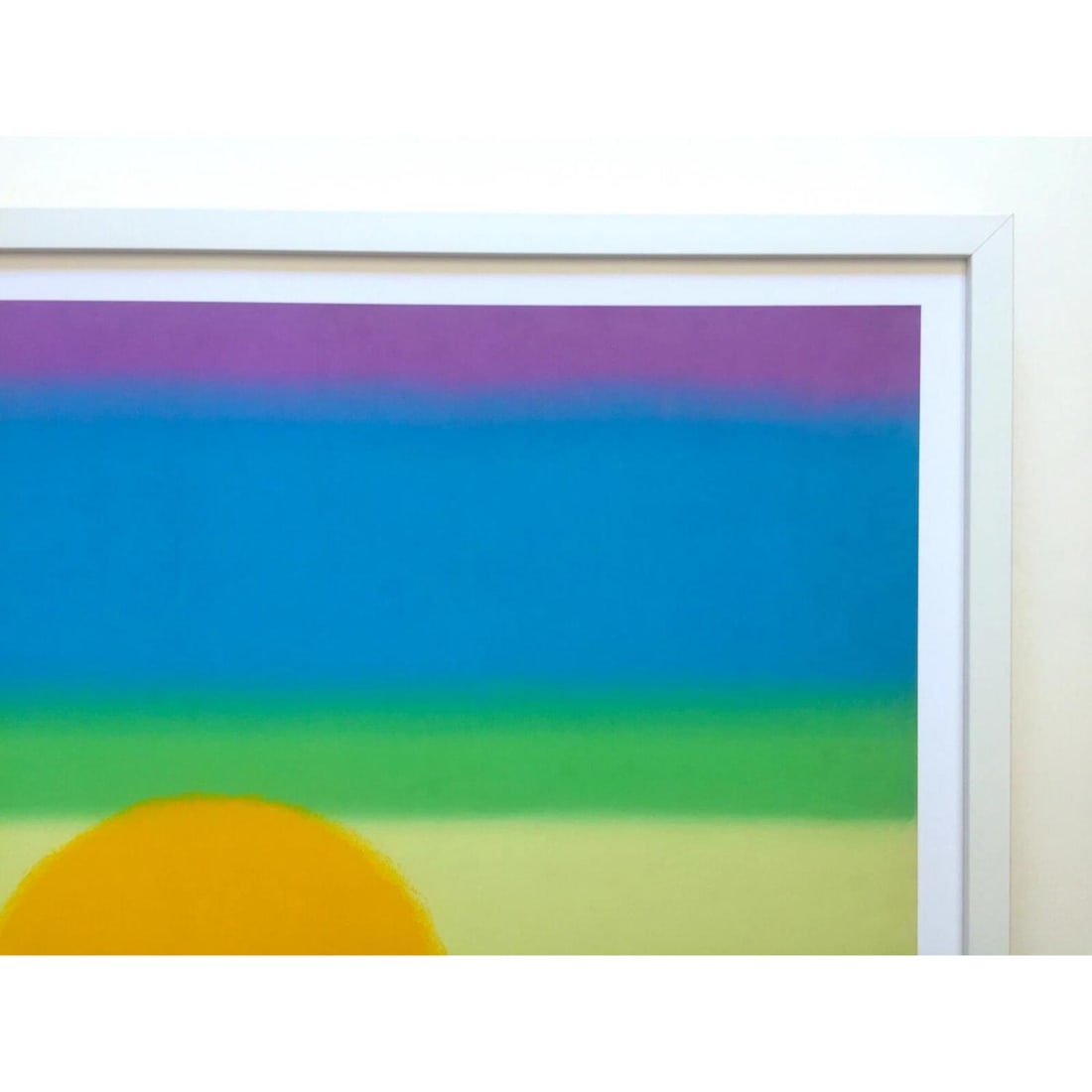 ANDY WARHOL FOUNDATION LITHOGRAPH PRINT FRAMED POP ART POSTER " SUNSET " 1972 - 9