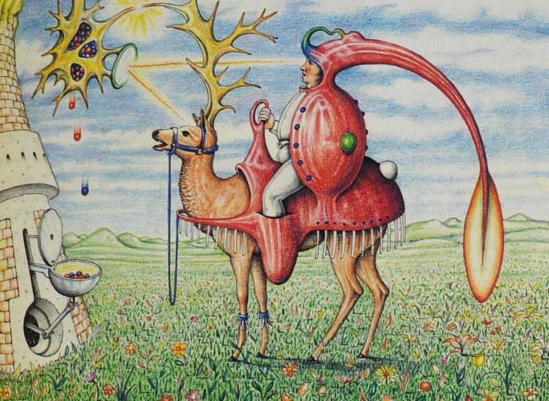 Codex Seraphinianus ~ SIGNED by LUIGI SERAFINI ~ Limited First Edition 1st 1981 - 11