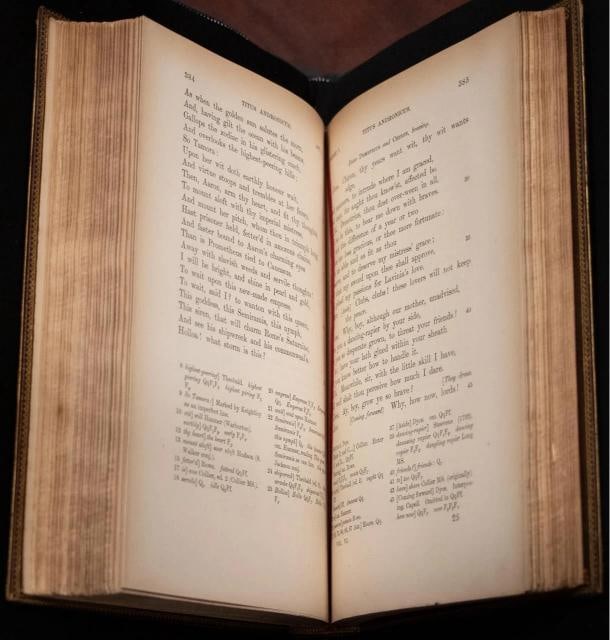 1891 The Works of William Shakespeare Fine Leather Bindings - 4