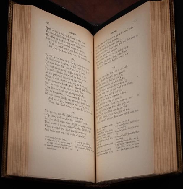 1891 The Works of William Shakespeare Fine Leather Bindings - 5