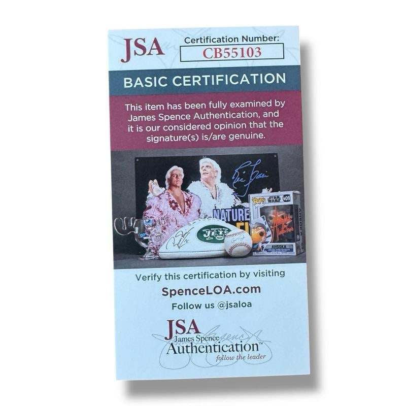 CHRIS STAPLETON Signed Guitar Custom Graphics JSA COA TENNESEE WHISKEY - 3