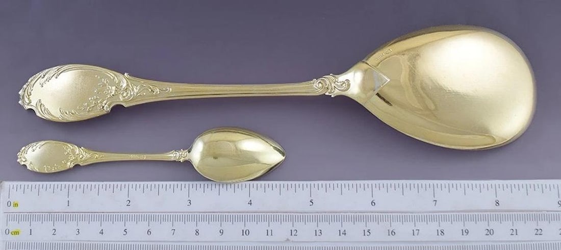 Fab German Bruckmann Gilt Silver 18pc Dessert Set 17 Spoons Server - 4