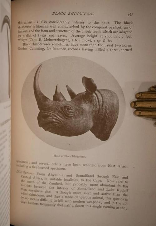 Rowland Ward / Records of Big Game 1914 7th Edition - 10