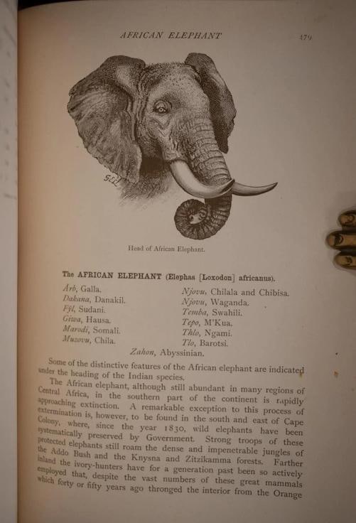 Rowland Ward / Records of Big Game 1914 7th Edition - 11