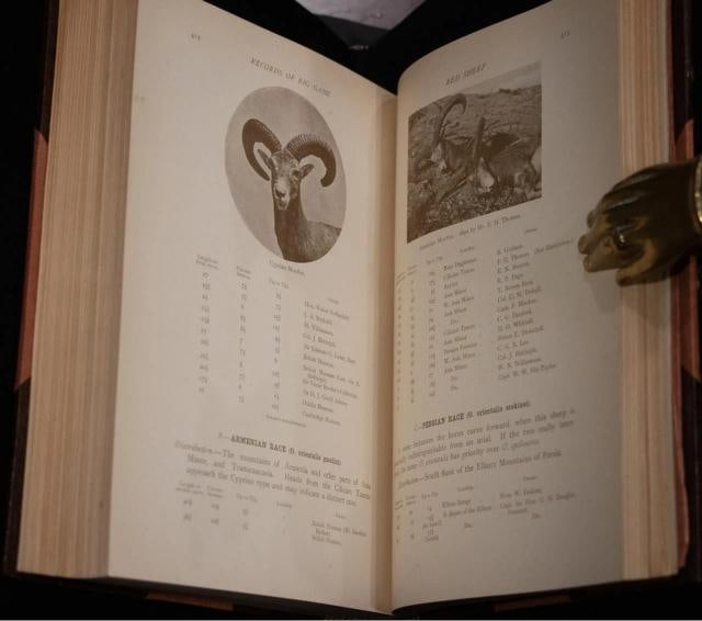 Rowland Ward / Records of Big Game 1914 7th Edition - 12