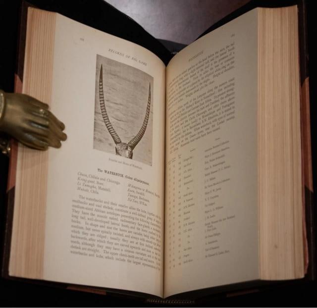 Rowland Ward / Records of Big Game 1914 7th Edition - 15