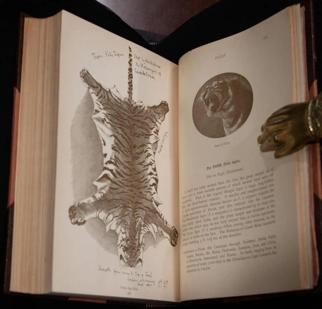 Rowland Ward / Records of Big Game 1914 7th Edition - 5