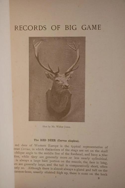 Rowland Ward / Records of Big Game 1914 7th Edition - 7