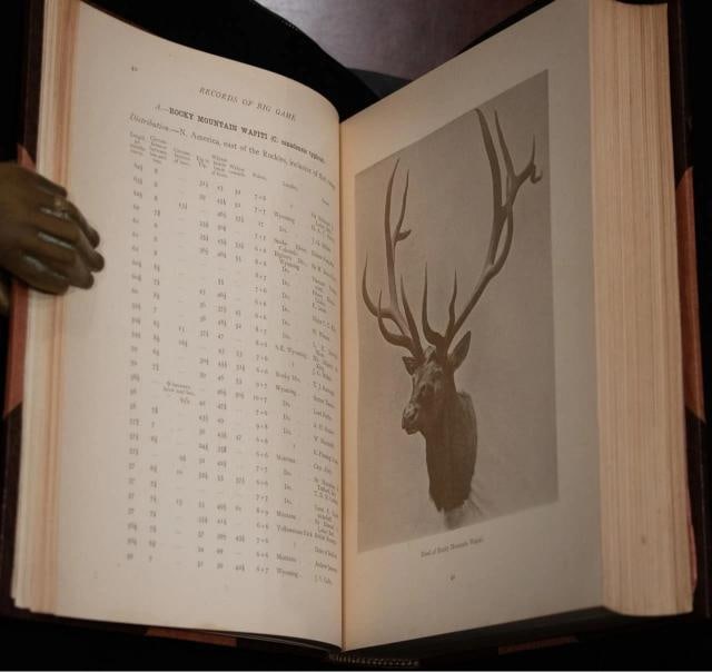 Rowland Ward / Records of Big Game 1914 7th Edition - 8