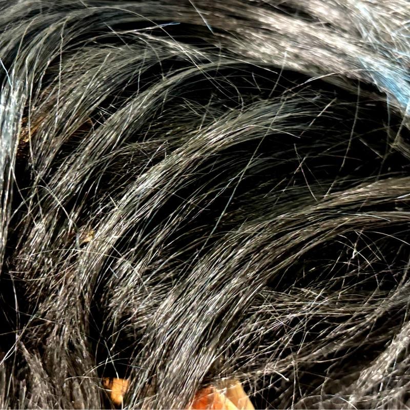 Alice Cooper Autographed Mask Shadow Box Framed JSA COA Signed - 4