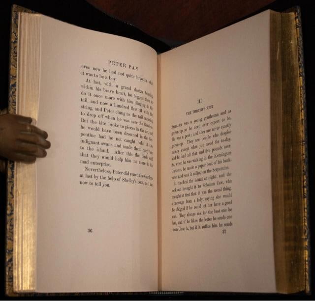 1906 Peter Pan In Kensington Gardens by J M Barrie 1stED Bayntun Binding Rackham - 11