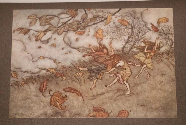 1906 Peter Pan In Kensington Gardens by J M Barrie 1stED Bayntun Binding Rackham - 14