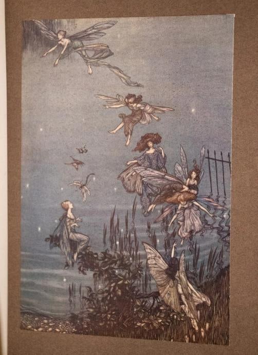 1906 Peter Pan In Kensington Gardens by J M Barrie 1stED Bayntun Binding Rackham - 15