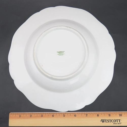 10 Antique 19th Century Chamberlain's Worcester Porcelain Soup/Cereal Bowls - 5