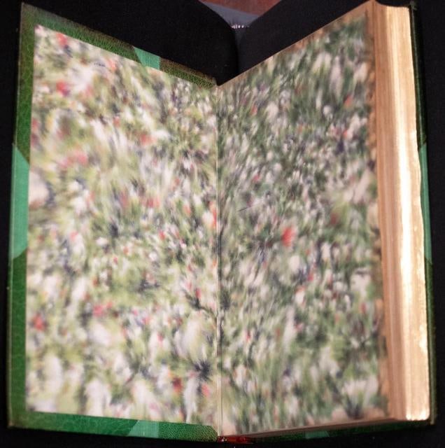 Lewis Carroll / Alice's Adventures in Wonderland 1920 3rd Edition - 7