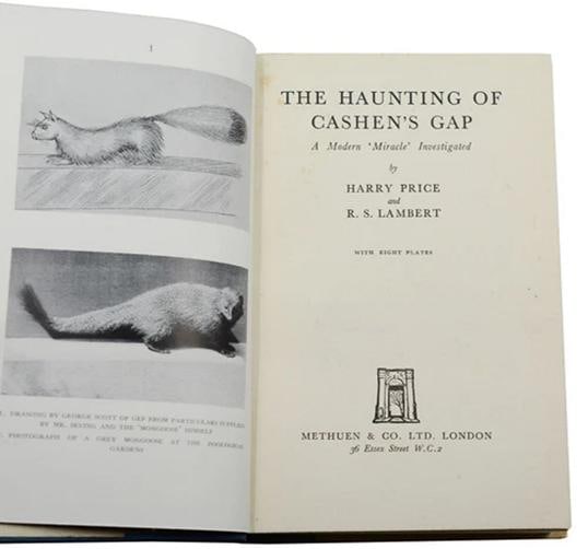 The Haunting of Cashen's Gap ~ HARRY PRICE ~ First Edition 1936 Gef Mongoose 1st - 5