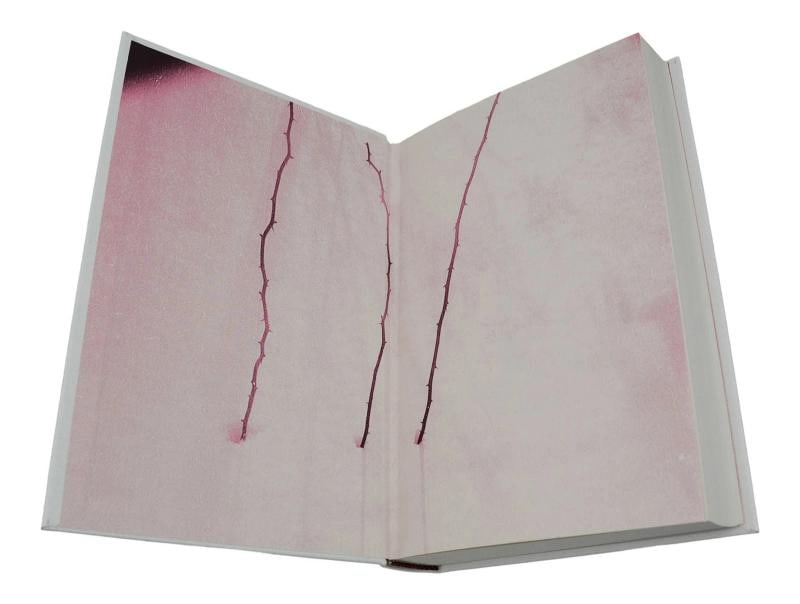 The Dark Tower IV: Wizard and Glass ~ STEPHEN KING Signed Limited First Edition - 8