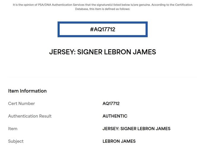 LeBron James Signed Cleveland Cavaliers Jersey (PSA LOA) - 6