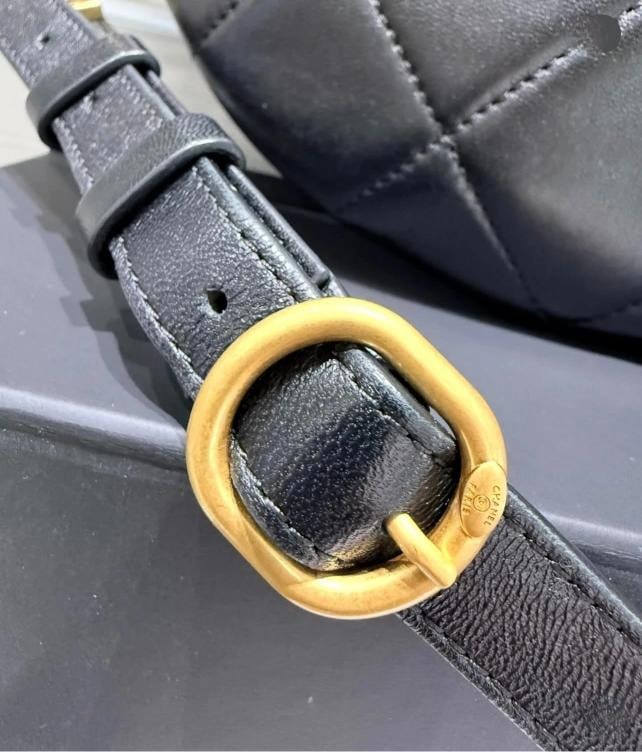 Chanel Quilted Waist Belt / Sling Bag 2024 Microchip - 5