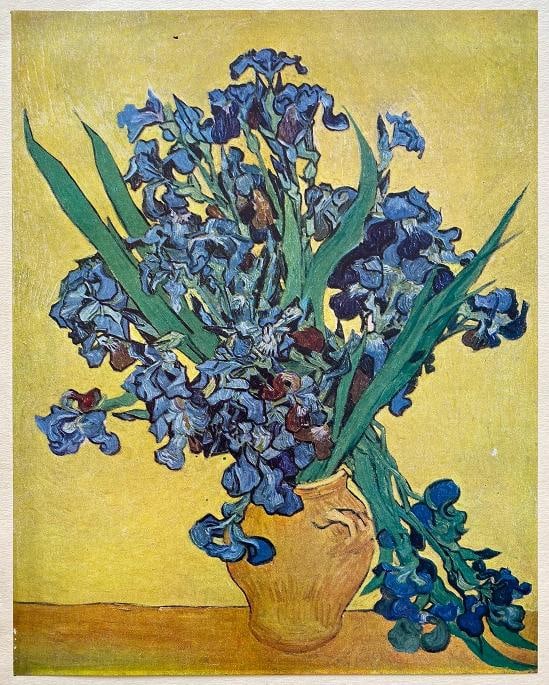 VINCENT VAN GOGH RARE 1947 LMT EDT LITHOGRAPH PRINT "NATURE MORTE : IRIS " 1890: Condition: Used,Country of Origin: France,Artist: Vincent van Gogh,Unit of Sale: Single-Piece Work,Image Orientation: Portrait,Size: Small (up to 12in.),Signed: No,Color: Multi-Color,Date of