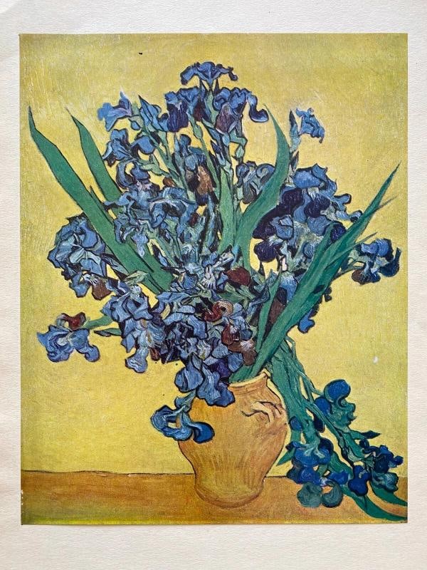 VINCENT VAN GOGH RARE 1947 LMT EDT LITHOGRAPH PRINT "NATURE MORTE : IRIS " 1890 - 2