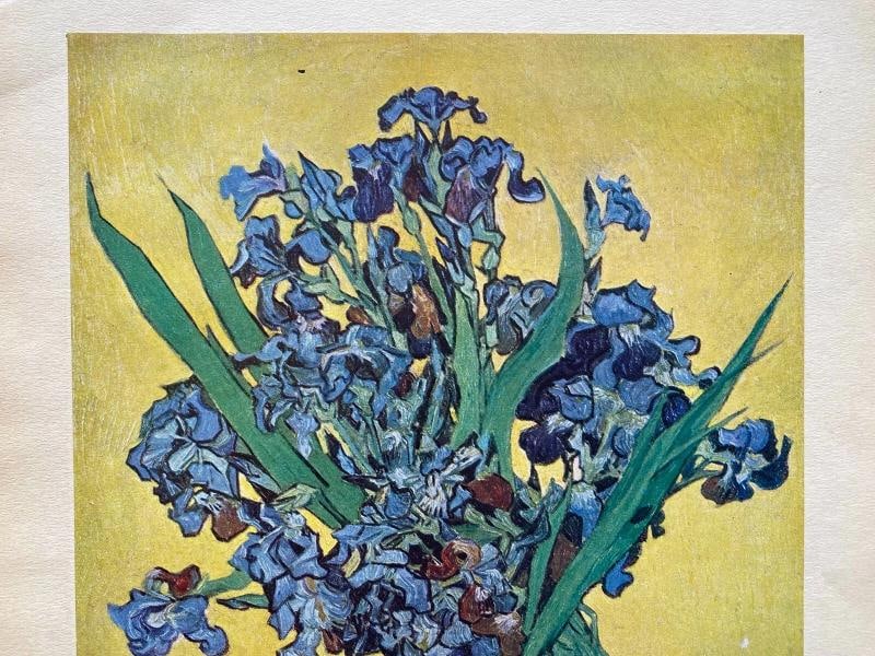 VINCENT VAN GOGH RARE 1947 LMT EDT LITHOGRAPH PRINT "NATURE MORTE : IRIS " 1890 - 3