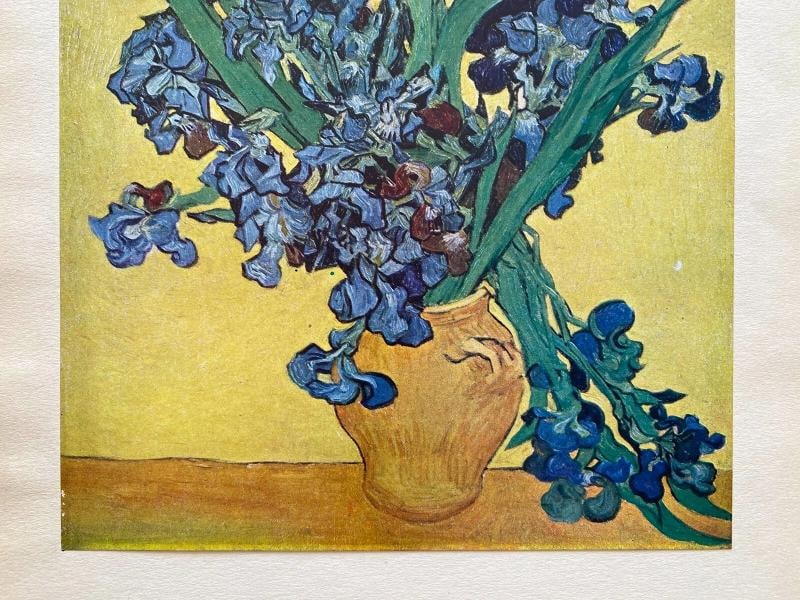 VINCENT VAN GOGH RARE 1947 LMT EDT LITHOGRAPH PRINT "NATURE MORTE : IRIS " 1890 - 4