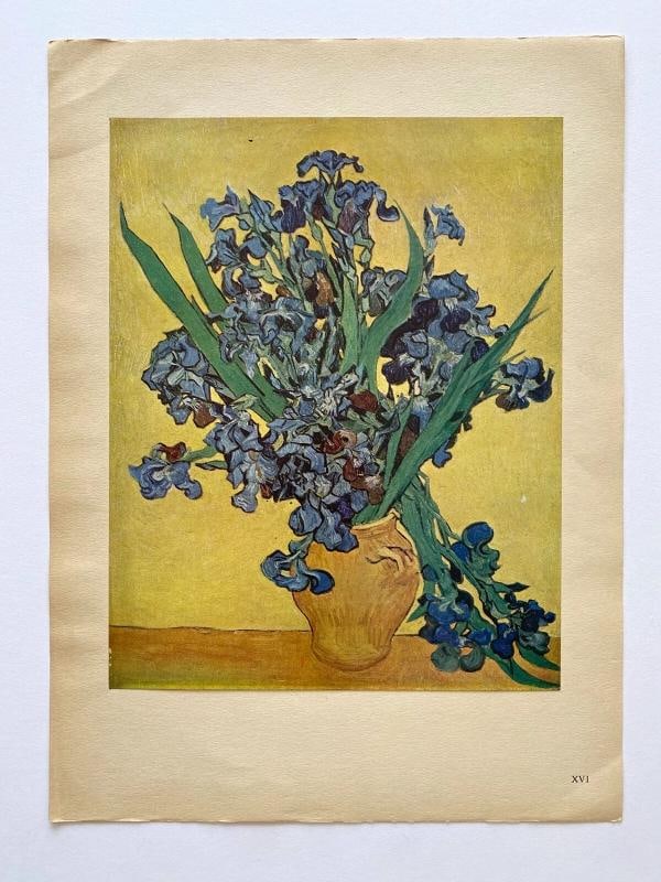 VINCENT VAN GOGH RARE 1947 LMT EDT LITHOGRAPH PRINT "NATURE MORTE : IRIS " 1890 - 5
