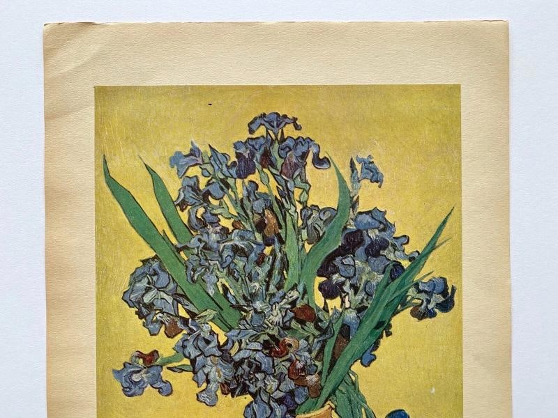 VINCENT VAN GOGH RARE 1947 LMT EDT LITHOGRAPH PRINT "NATURE MORTE : IRIS " 1890 - 6