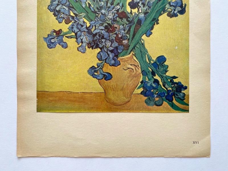 VINCENT VAN GOGH RARE 1947 LMT EDT LITHOGRAPH PRINT "NATURE MORTE : IRIS " 1890 - 7