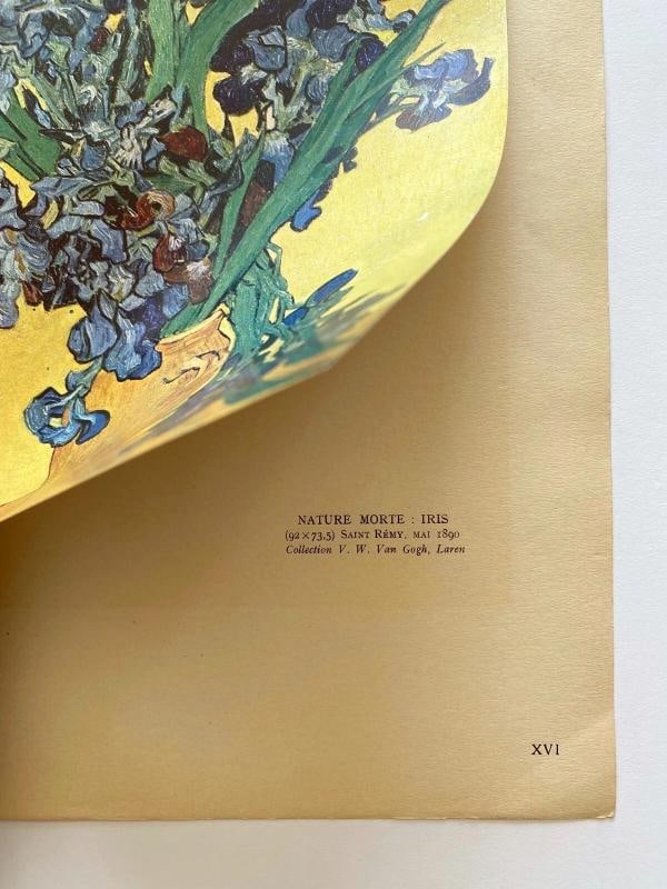 VINCENT VAN GOGH RARE 1947 LMT EDT LITHOGRAPH PRINT "NATURE MORTE : IRIS " 1890 - 8