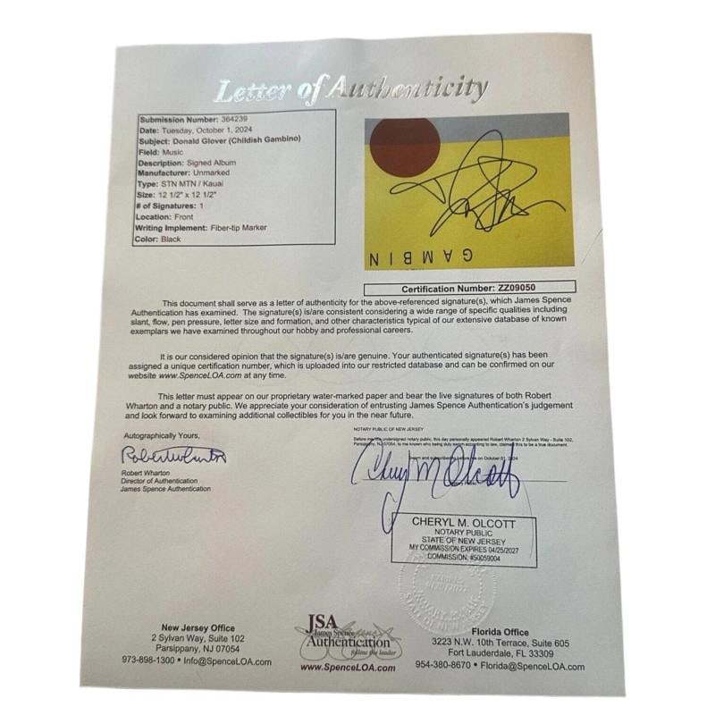 Childish Gambino Donald Glover Autographed STN MTN / Kauai Vinyl Album JSA LOA - 10