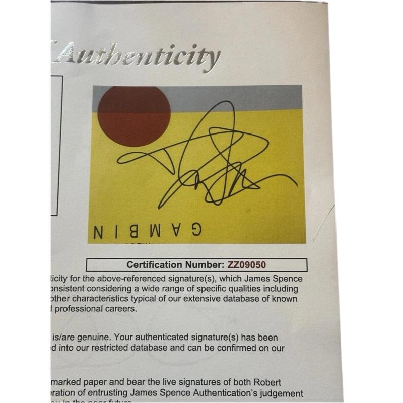 Childish Gambino Donald Glover Autographed STN MTN / Kauai Vinyl Album JSA LOA - 11