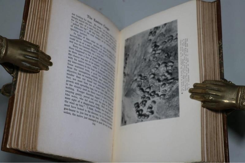 The Wonderland of the Eastern Congo / 1st Edition 1922 - 10