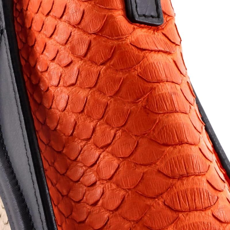 Celine Tricolor Luggage Bag Python and Leather Nano - 7