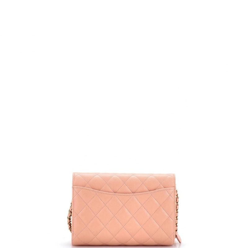 Chanel Phone Holder Zip Around Wallet on Chain Quilted Caviar - 3