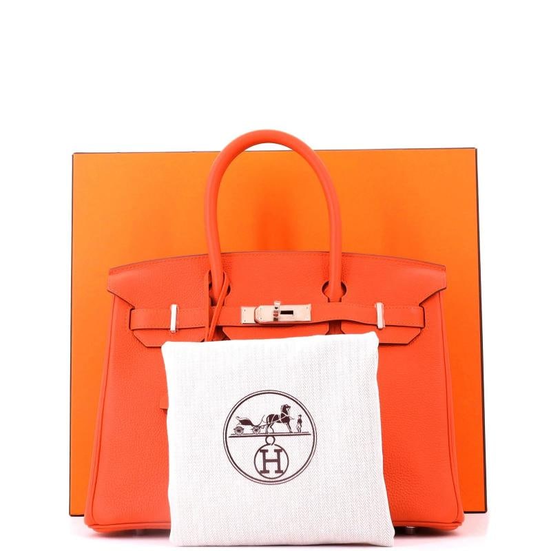 Hermes Birkin Handbag Orange Togo with Palladium Hardware 30 - 2