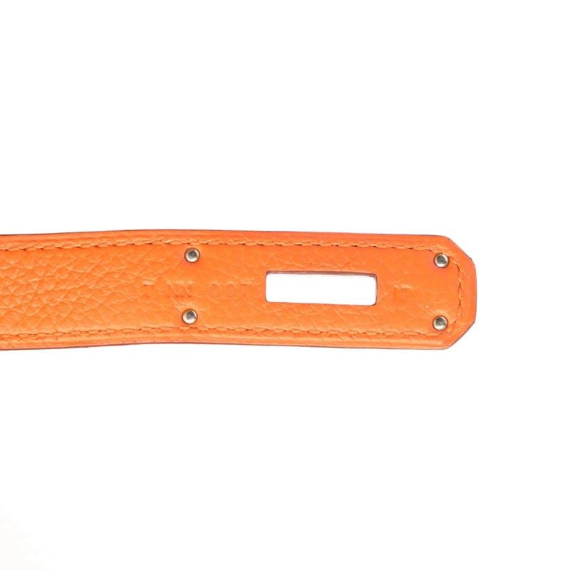 Hermes Birkin Handbag Orange Togo with Palladium Hardware 30 - 8