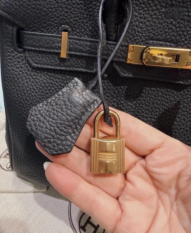 Hermes Birkin 25 Black Togo Leather with Gold Hardware (T Stamp, 2015) - 8