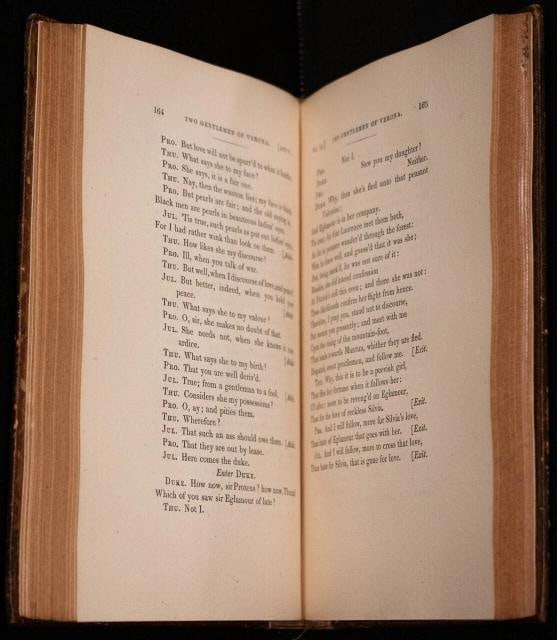 1825 Plays and Poems of WILLIAM SHAKESPEARE in Eleven Volumes Fine Leather - 9