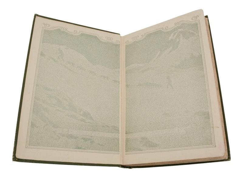 The Call of the Wild ~ by JACK LONDON ~ First Edition ~ 1st Printing 1903 - 5