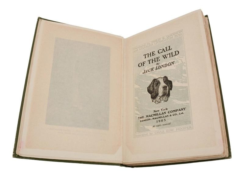 The Call of the Wild ~ by JACK LONDON ~ First Edition ~ 1st Printing 1903 - 6