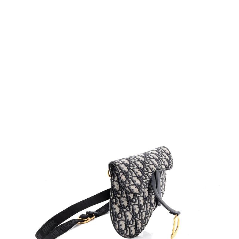 Christian Dior Saddle Belt Bag Oblique Canvas - 2