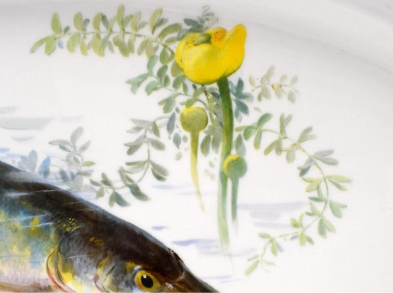 Antique Meissen Finely Hand Painted Fish Platter - Signed, Circa 1890 - 4