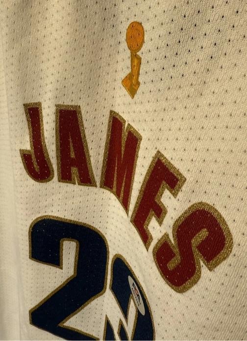 LeBron James Autographed Signed Cavaliers NBA Finals Jersey Auto PSA/DNA LOA - 6