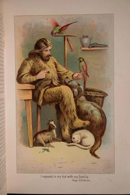 1880 Robinson Crusoe by Daniel Defoe Fine Binding Illustrated Color Plates Rare - 10